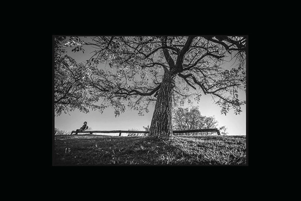 anja butti photography