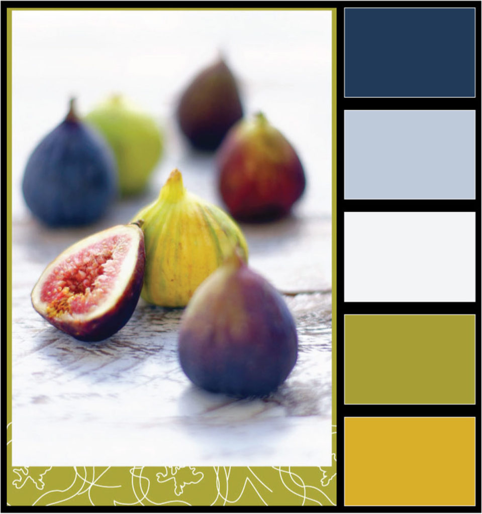 fig color story