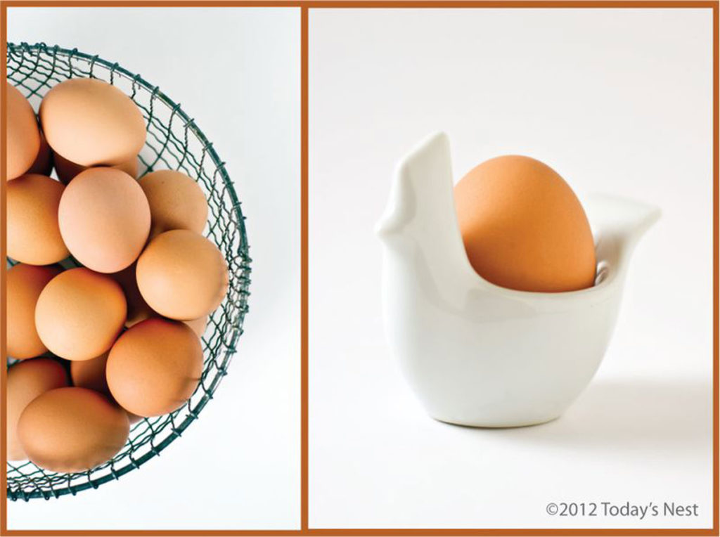 egg basics