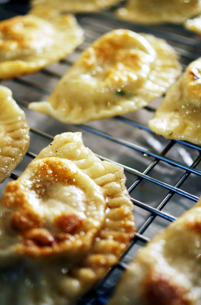 best pierogi recipe