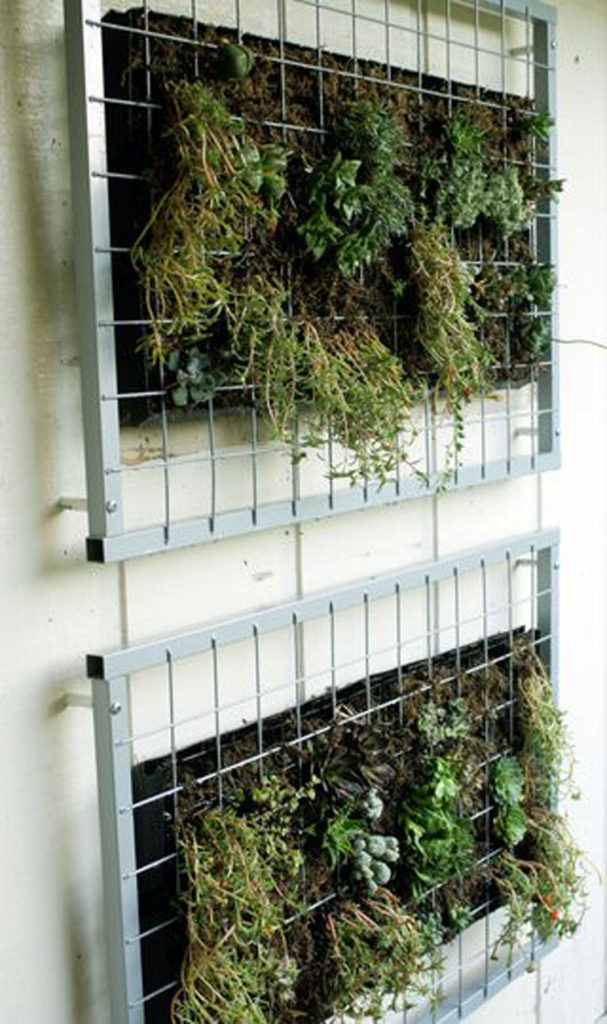 succulent vertical wall garden diy